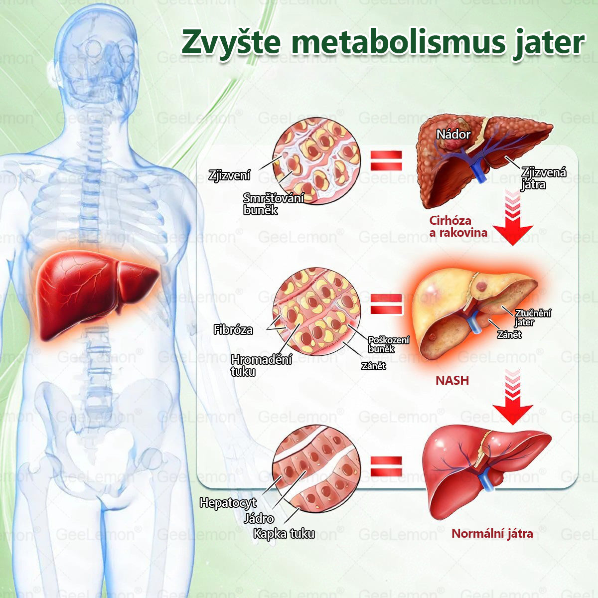𝐇𝐞𝐚𝐥𝐫𝐢𝐳𝐞® Glum𝐚𝐬𝐞tide 8 v 1 – Zeštíhlující nano  mikrojihlový náplast 🇨🇿 Jen 1× denně  Viditelné změny za 7 dní – na obezitu, kardiovaskulární zdraví, diabetes a kloubní problémyhua