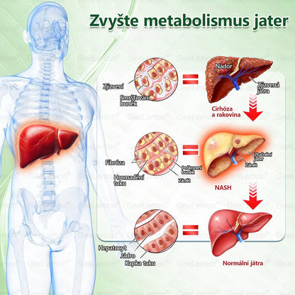 𝐇𝐞𝐚𝐥𝐫𝐢𝐳𝐞® Glum𝐚𝐬𝐞tide 8 v 1 – Zeštíhlující nano  mikrojihlový náplast 🇨🇿 Jen 1× denně  Viditelné změny za 7 dní – na obezitu, kardiovaskulární zdraví, diabetes a kloubní problémyhua