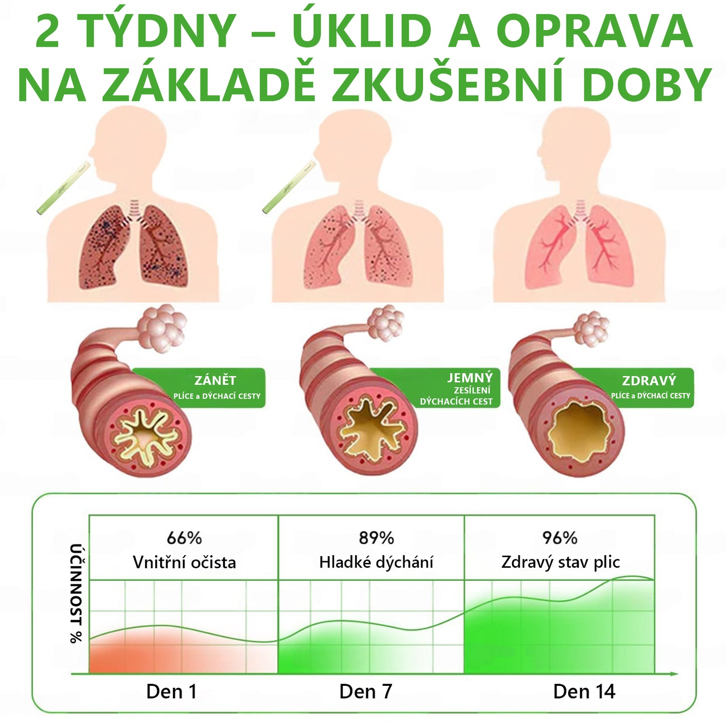 🇨🇿 České vlastnictví a správa ✅ Murwon® bylinný difuzér pro čištění plic s diviznou (Mullein)  🫁 (kašel, faryngitida, dušnost, hlen, ucpaný nos, bronchitida, alergické příznaky, nepohodlí v plicích) 🌷