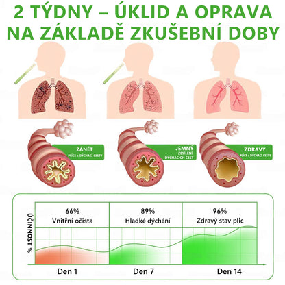 🇨🇿 České vlastnictví a správa ✅ Murwon® bylinný difuzér pro čištění plic s diviznou (Mullein)  🫁 (kašel, faryngitida, dušnost, hlen, ucpaný nos, bronchitida, alergické příznaky, nepohodlí v plicích) 🌷